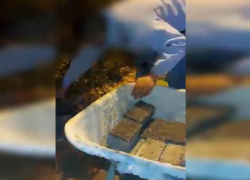 Мужчина крал плитку из сквера в центре Кишинева