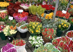Налоговики займутся проверкой цветочных рынков к 1 сентября