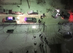 Наемный убийца, ранивший мужчину на Ботанике, схвачен полицейскими