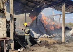 Двух свиней и собаку спасли от огня пожарные на севере Молдовы