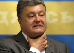 Шокированный акциями Саакашвили  и «гоп-компании» Порошенко стал героем карикатур