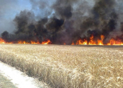 Удар молнии спровоцировал масштабное бедствие на пшеничном поле в Штефан-Водском районе 