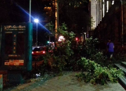 Протараненное BMW дерево рухнуло на автомобиль у здания правительства в Кишиневе