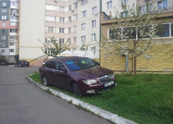 Кишиневец припарковался на газоне под цветущим деревом