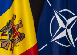 В НАТО прокомментировали политическую ситуацию в Молдове