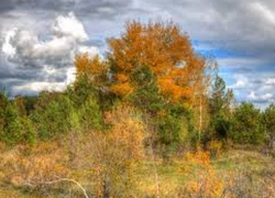 В пятницу в Молдове потеплеет, но будет пасмурно и дождливо 