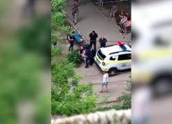Собака покусала четверых в кишиневском дворе