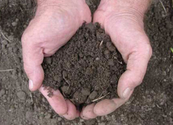 Санду хочет продать молдавскую землю иностранцам: имеются доказательства ее намерений