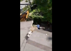 Прямо сейчас! Лица, захватившие жилой дом в Кишиневе, сломали мужчине ногу