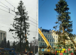 Киевляне назвали причины позорного "облысения" главной елки, "сбежавшей из Молдовы"