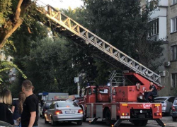 Операцию по спасению котенка провели в Кишиневе