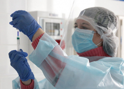 В Молдове выявлено 535 новых случаев COVID-19 