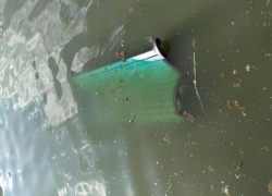 В парке Валя Морилор вандалы выбросили скамейку в озеро 