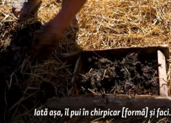 В некоторых молдавских селах топить печь планируют коровьими лепешками