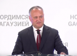 Игорь Додон заверил Ирину Влах в своей поддержке