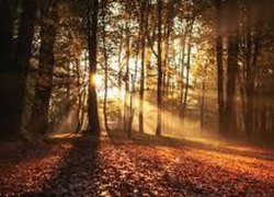 Воскресенье порадует жителей Молдовы хорошей погодой 