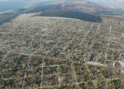 На «Дойне» скоро негде будет хоронить: главного кладбища страны хватит еще на 7-8 лет