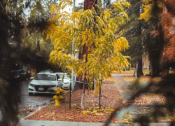 В понедельник в Молдове сильно похолодает 