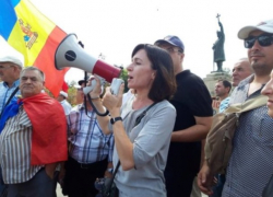 Самка богомола и ее самцы