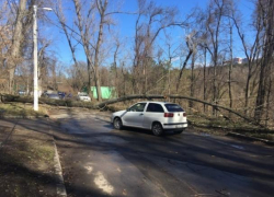 Одна из столичных улиц оказалась полностью заблокированной из-за поваленных деревьев