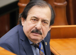 Николае Ботгрос отказывается от депутатского мандата и возвращается к музыке