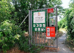 В Вене задержан молдаванин, убивший в столице Австрии местного жителя