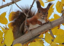В воскресенье в Молдове будет все еще тепло, но пасмурно 