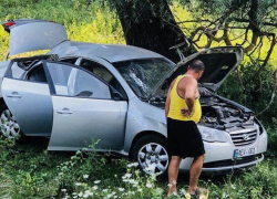 Автомобиль с детьми потерял управление под Новыми Аненами
