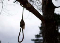 В парке на Ботанике обнаружили повешенного мужчину