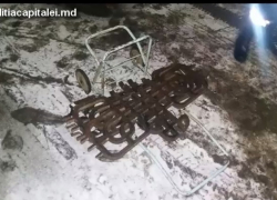 На Ботанике задержан житель Бельц, воровавший металлическую ограду