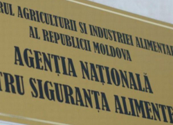 Опасное кокосовое молоко изъято из продажи в крупной сети супермаркетов в Молдове