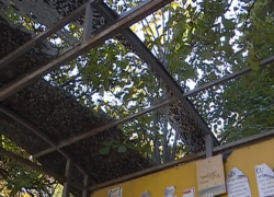 Остановки в Кишиневе, в большинстве своем, никто не ремонтирует