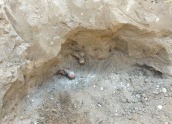 В Новоаненском районе при раскопках нашли останки солдата красноармейца