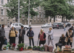 Кишинев – рай для уличных торговцев