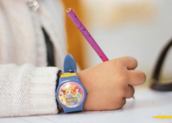 Оценки за некоторые предметы школьников будут исключены