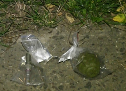 Боевую гранату между домами обнаружил с помощью мобильника молодой человек в Рыбнице