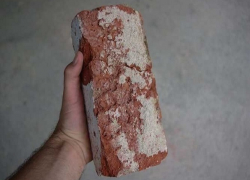 В Яловенах молодой мужчина убил собутыльника булыжником