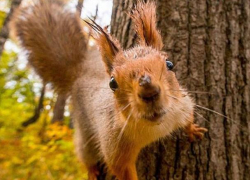 Пятница в Молдове будет по-летнему теплой 