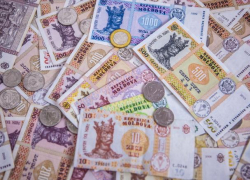 Примэрия Кишинева выдаст материальную помощь