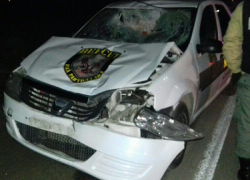 В Чимишлии машина службы Bercut сбила насмерть мужчину