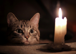 Во вторник без света останутся некотрые жители Ботаники и Буюкан  