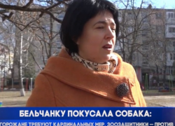 Бродячие собаки покусали женщину в Бельцах