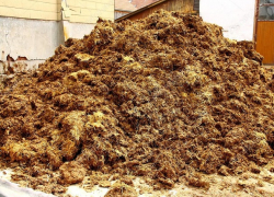 В Новых Аненах малыш оказался на грани гибели после падения в яму с навозом