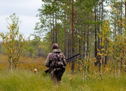 Мужчина застрелил охотника в "проклятом лесу" Чимишлийского района