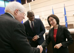 «Это дно днища» - Цырдя о сегодняшнем лебезении «проевропейцев» перед послом США