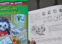 Странные задачки для детей по математике. Откуда яблоки у дуба?