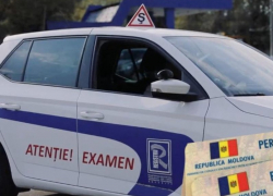 Глава ASP: более 700 водительских удостоверений будут аннулированы