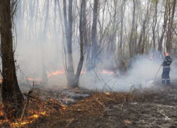 Новая напасть - на границе Молдовы с Румынией бушуют пожары в тростниках и сухостоях