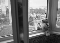 В Сороках малыш выпал из окна четвертого этажа