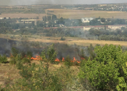 На выезде из Кишинева горит растительность